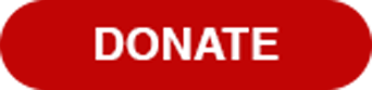 donate icon