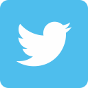 twitter social media icon